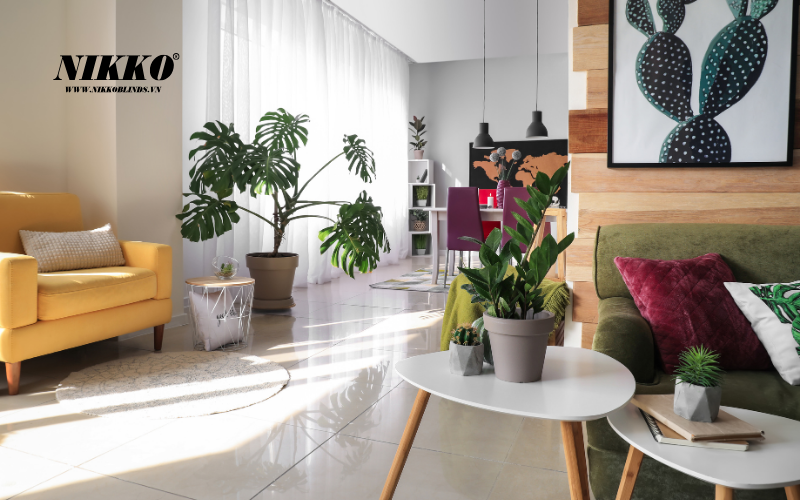 Thi công rèm cửa Cao Bằng